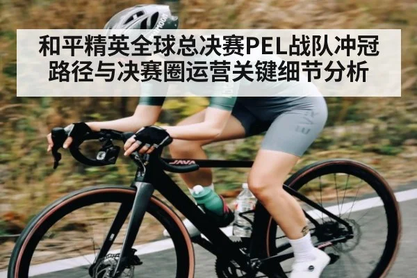 和平精英全球总决赛PEL战队冲冠路径与决赛圈运营关键细节分析